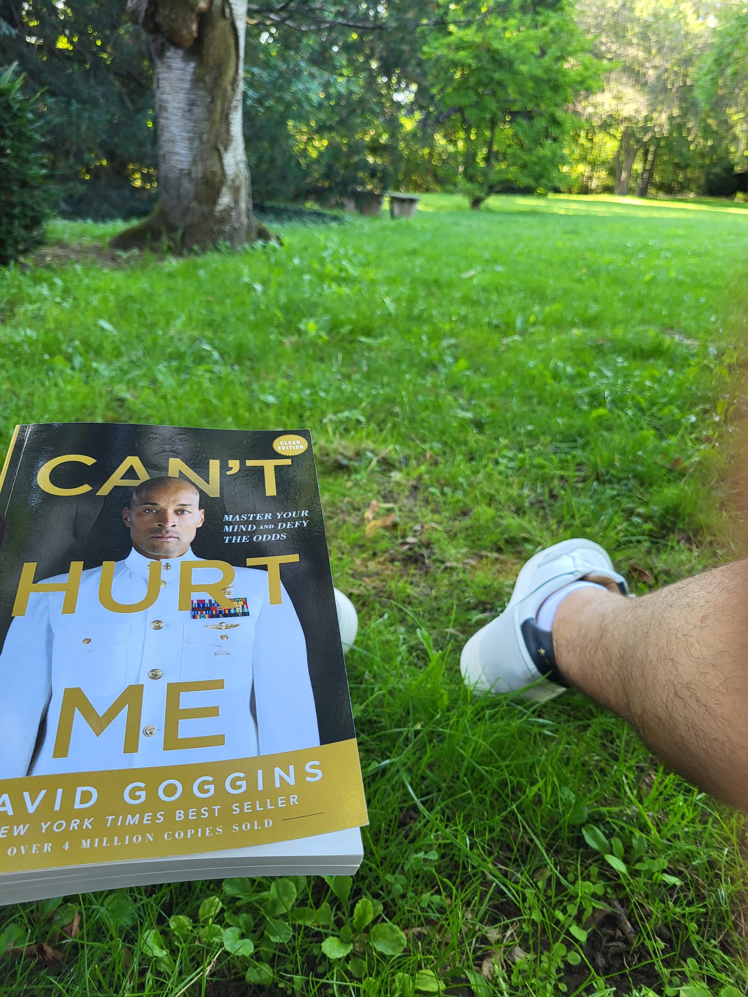 Can’t hurt me – Ein Buch, das Vieles für mich ins Rollen bringt